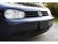 Indigo Blue Metallic - GTI VR6 Photo No. 17