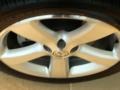Campanella White - New Beetle Triple White Convertible Photo No. 4