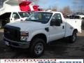 2010 Oxford White Ford F350 Super Duty XL Regular Cab Chassis  photo #2