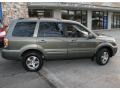 2007 Aberdeen Green Metallic Honda Pilot EX-L 4WD  photo #4