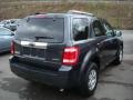 2009 Black Pearl Slate Metallic Ford Escape Limited V6 4WD  photo #2