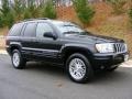 2004 Brillant Black Crystal Pearl Jeep Grand Cherokee Limited 4x4  photo #3