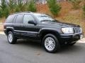 Brillant Black Crystal Pearl - Grand Cherokee Limited 4x4 Photo No. 3