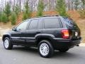 2004 Brillant Black Crystal Pearl Jeep Grand Cherokee Limited 4x4  photo #7