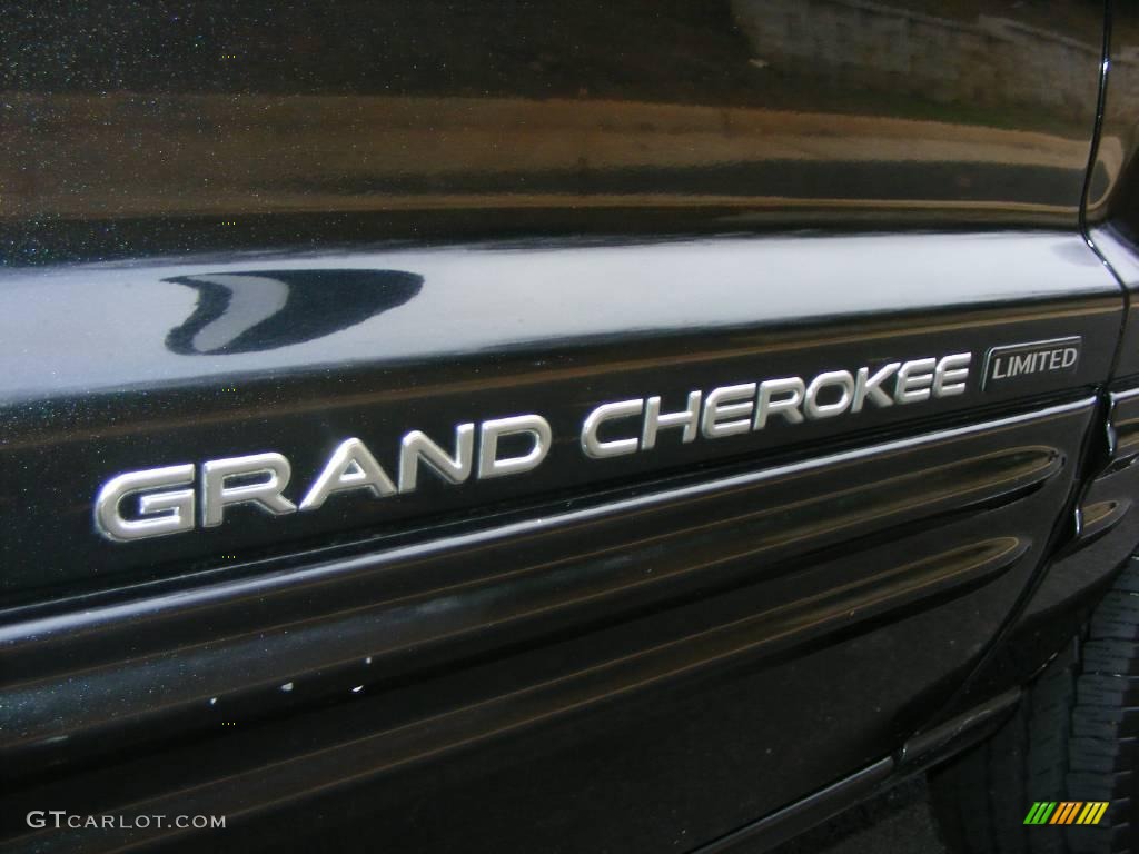 2004 Grand Cherokee Limited 4x4 - Brillant Black Crystal Pearl / Sandstone photo #39