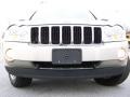 Light Graystone Pearl - Grand Cherokee Limited CRD 4x4 Photo No. 15