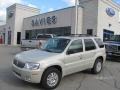 Light Sage Metallic - Mariner Luxury 4WD Photo No. 1