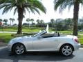 2009 Iridium Silver Metallic Mercedes-Benz SLK 350 Roadster  photo #13