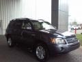 Bluestone Metallic - Highlander Hybrid Limited 4WD Photo No. 19