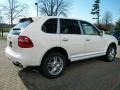 2010 Sand White Porsche Cayenne Tiptronic  photo #5