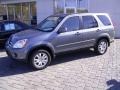 Pewter Pearl - CR-V SE 4WD Photo No. 1