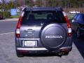 2006 Pewter Pearl Honda CR-V SE 4WD  photo #3