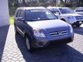 Pewter Pearl - CR-V SE 4WD Photo No. 5