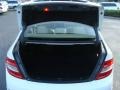 Arctic White - C 300 Luxury Photo No. 14
