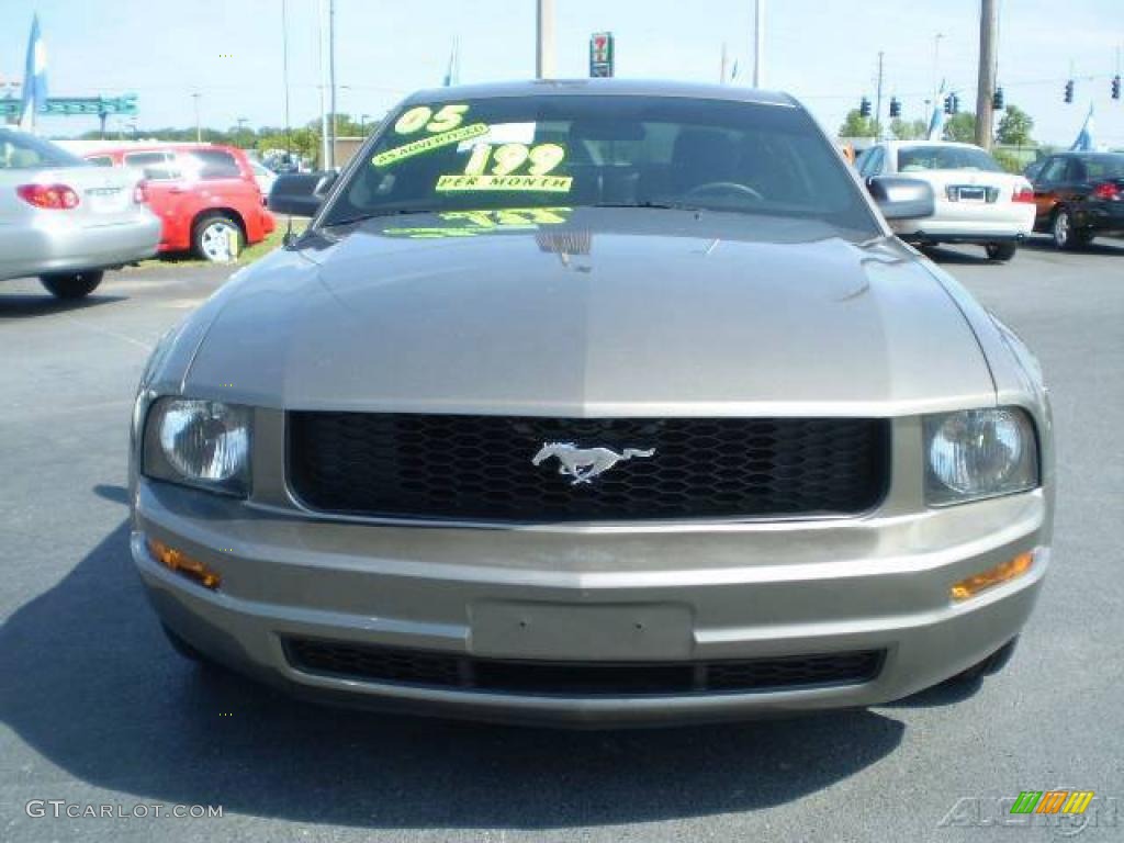 2005 Mustang V6 Premium Coupe - Mineral Grey Metallic / Dark Charcoal photo #2