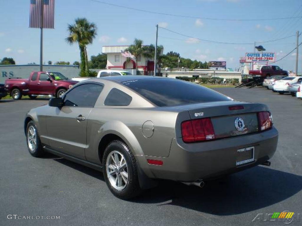 2005 Mustang V6 Premium Coupe - Mineral Grey Metallic / Dark Charcoal photo #5