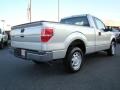 2010 Ingot Silver Metallic Ford F150 XL Regular Cab  photo #3