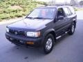 Super Black - Pathfinder SE 4x4 Photo No. 1