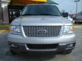 2004 Silver Birch Metallic Ford Expedition XLT  photo #2
