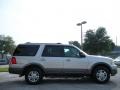 2004 Silver Birch Metallic Ford Expedition XLT  photo #4