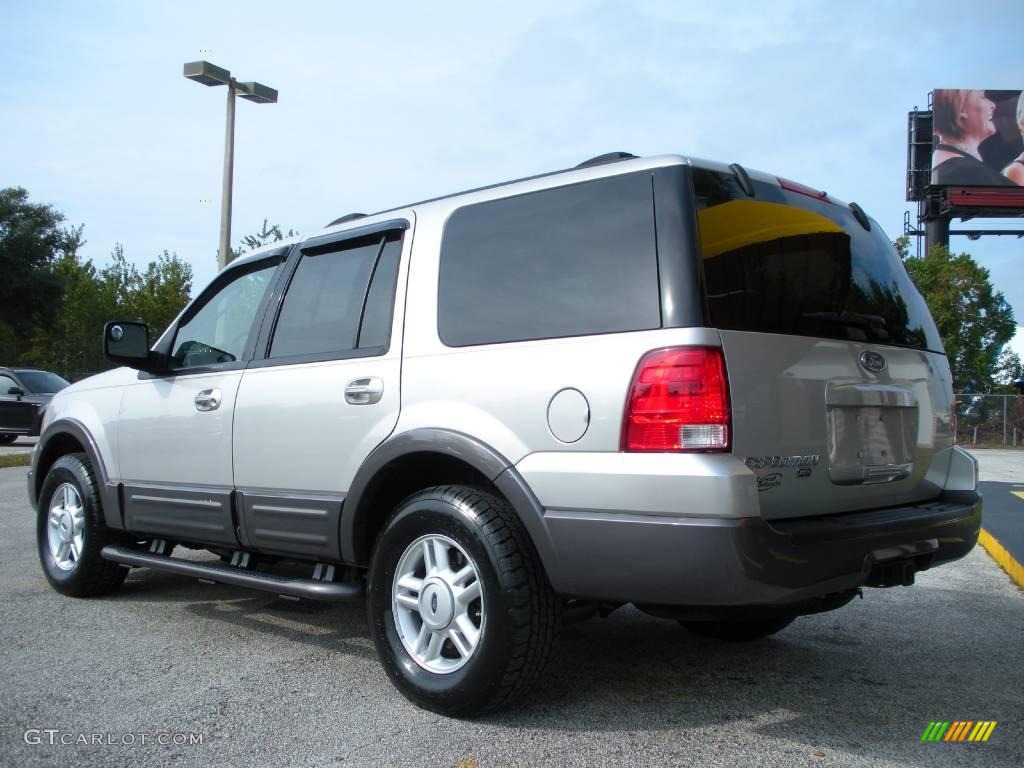 2004 Expedition XLT - Silver Birch Metallic / Medium Flint Gray photo #7