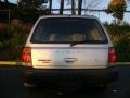 Silverthorn Metallic - Forester L Photo No. 7