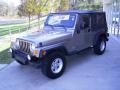 2004 Light Khaki Metallic Jeep Wrangler Unlimited 4x4  photo #1