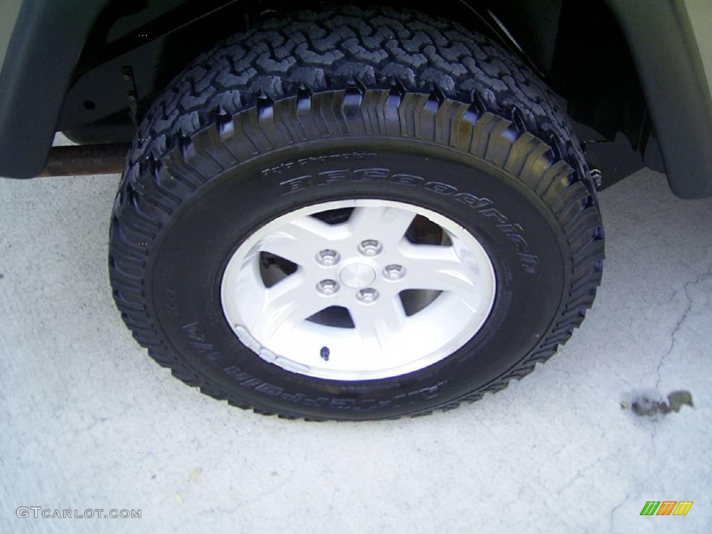 2004 Wrangler Unlimited 4x4 - Light Khaki Metallic / Dark Slate Gray photo #13