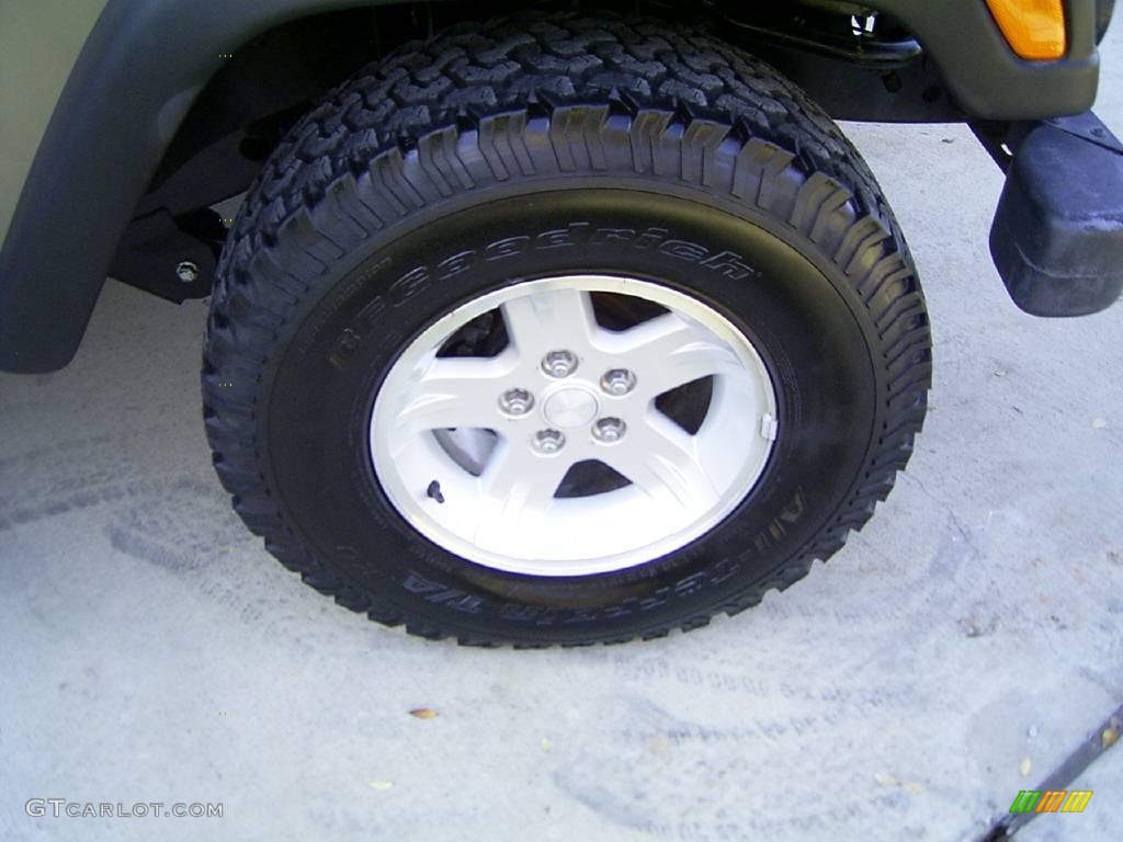 2004 Wrangler Unlimited 4x4 - Light Khaki Metallic / Dark Slate Gray photo #17