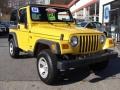 2004 Solar Yellow Jeep Wrangler X 4x4  photo #3