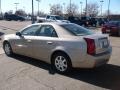 Sand Storm - CTS Sedan Photo No. 4