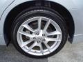Radiant Silver Metallic - Maxima 3.5 SV Photo No. 4