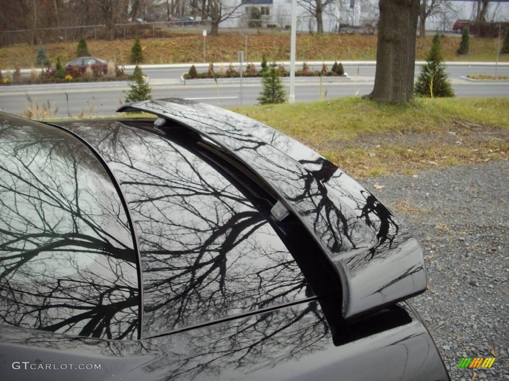 Rear Spoiler 2006 Ford Mustang GT Premium Coupe Parts