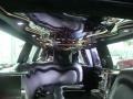 Black Raven - Escalade ESV AWD Platinum Edition Limousine Photo No. 18