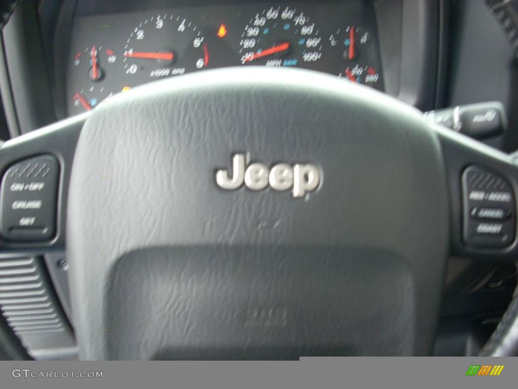 2004 Wrangler Unlimited 4x4 - Bright Silver Metallic / Dark Slate Gray photo #11