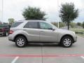 Pewter Metallic - ML 350 4Matic Photo No. 5