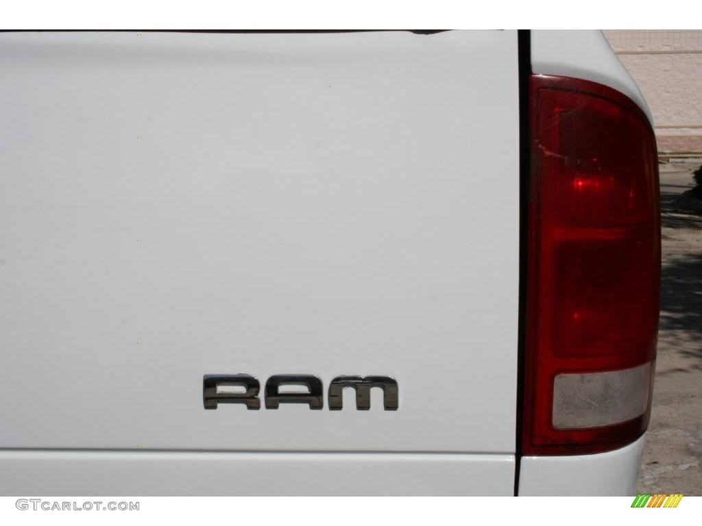2006 Ram 1500 ST Regular Cab - Bright White / Medium Slate Gray photo #20