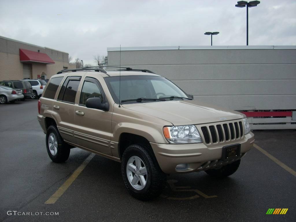 1999 Grand Cherokee Limited 4x4 - Champagne Pearl / Camel photo #1