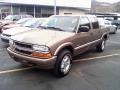 Sandalwood Metallic - S10 LS Crew Cab 4x4 Photo No. 1