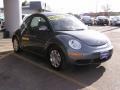 Platinum Grey - New Beetle 2.5 Coupe Photo No. 3