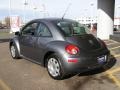 Platinum Grey - New Beetle 2.5 Coupe Photo No. 4