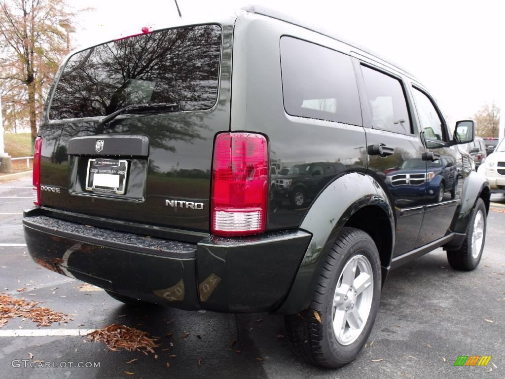 2010 Nitro SE - Natural Green Pearl / Khaki photo #3