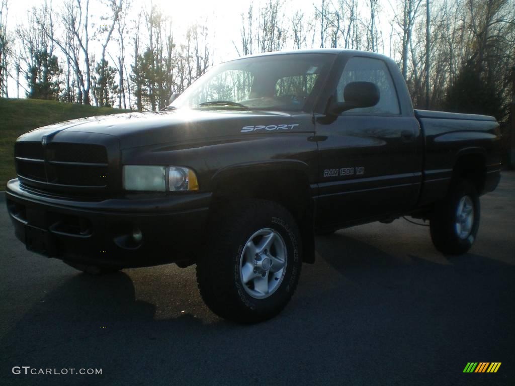 2001 Ram 1500 Sport Regular Cab 4x4 - Black / Mist Gray photo #1