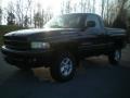 2001 Black Dodge Ram 1500 Sport Regular Cab 4x4  photo #1