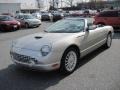 Platinum Silver Metallic - Thunderbird Deluxe Roadster Photo No. 3