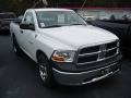 2010 Stone White Dodge Ram 1500 ST Regular Cab  photo #2