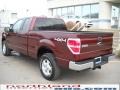 2010 Royal Red Metallic Ford F150 XLT SuperCab 4x4  photo #8