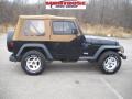Black - Wrangler Sport 4x4 Photo No. 1