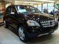 Black - ML 350 4Matic Photo No. 1