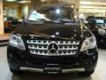 Black - ML 350 4Matic Photo No. 2